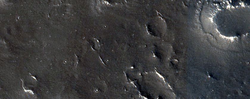 Utopia Planitia Mesas and Flow Features