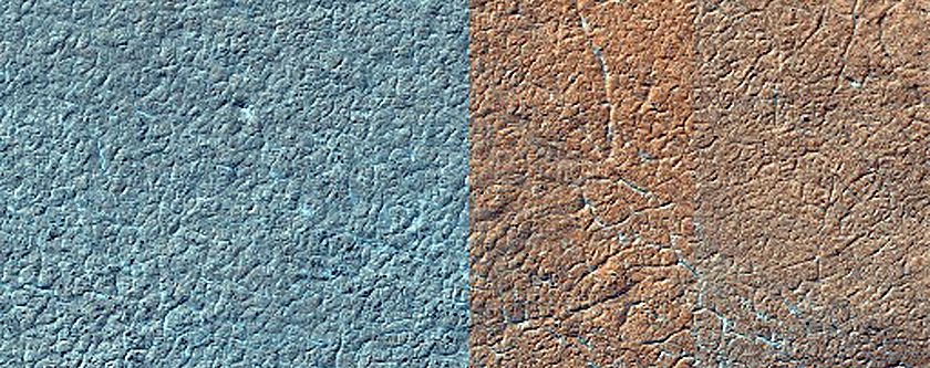 Terrain Sample