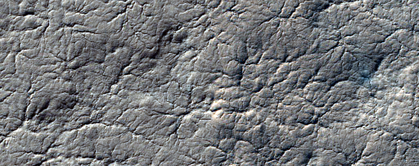 Terrain Sample