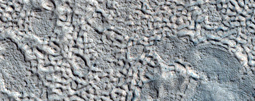 Ribbed Terrain Forming from Cracks in Northern Mid-Latitudes