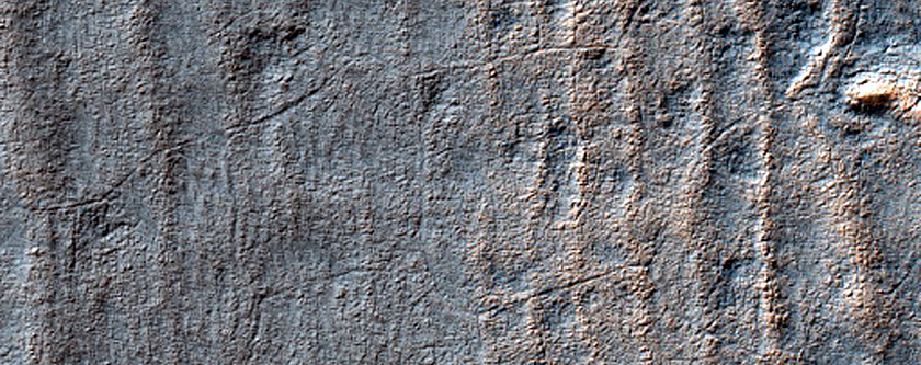 Terrain Sample