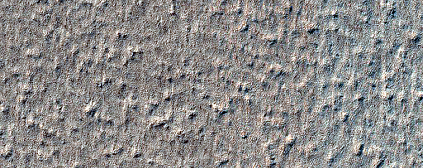 Terrain Sample