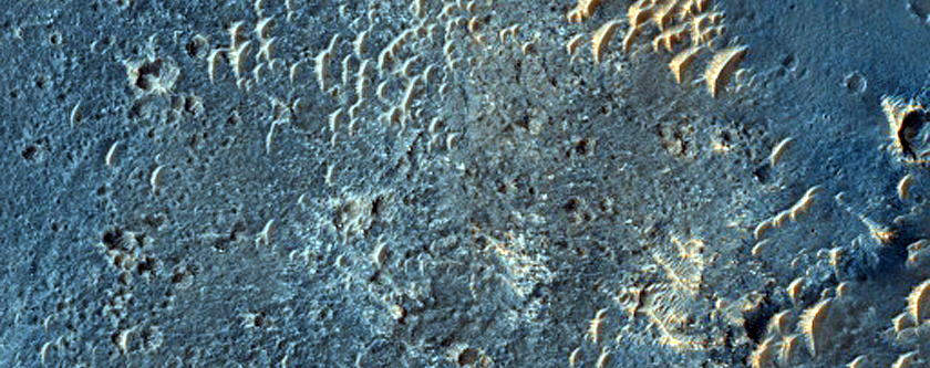 Terrain Sample