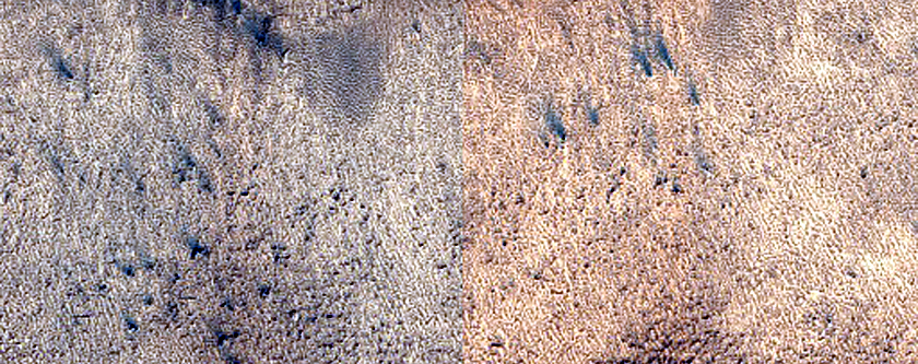 Terrain Sample