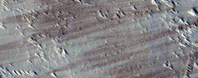 Terrain Sample