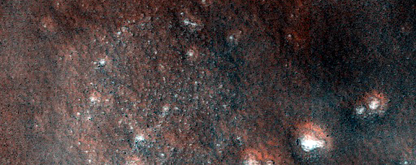 Terrain Sample