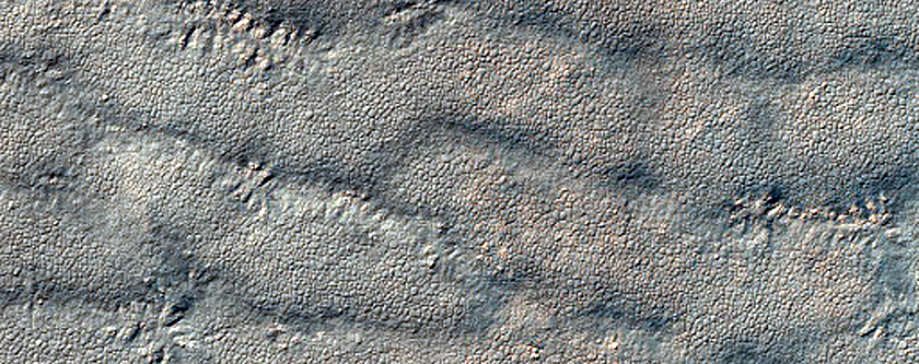 Terrain Sample