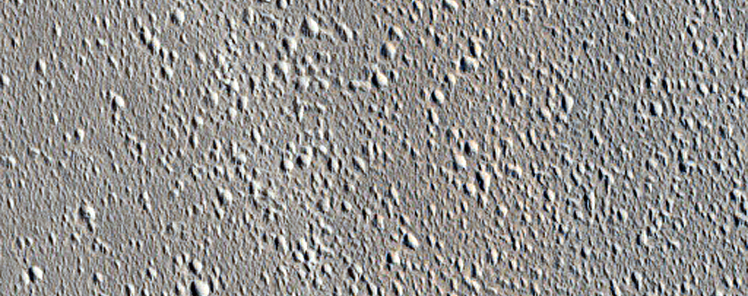 Terrain Sample