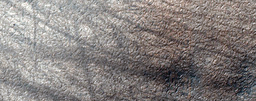 Terrain Sample