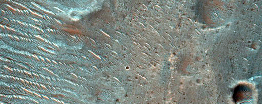 Possible Phyllosilicates in Terra Tyrrhena Crater Ejecta