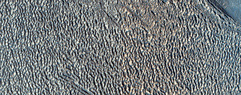 Terrain Sample