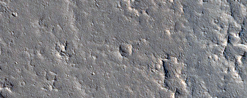Terrain Sample