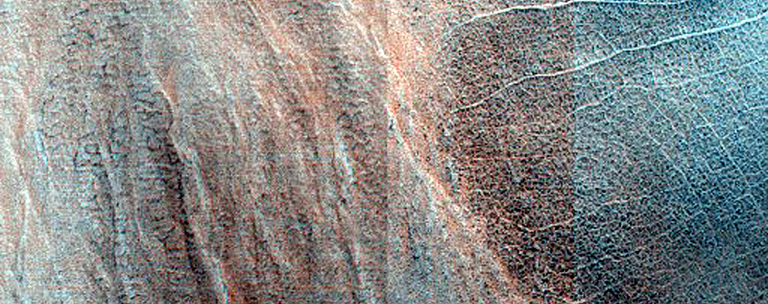 North-Facing Gullies