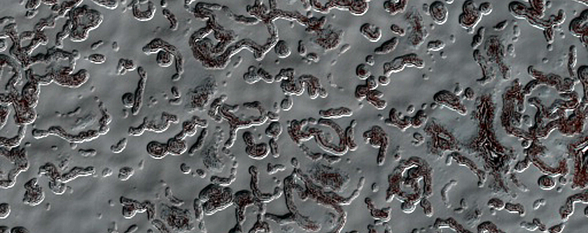 Terrain Sample