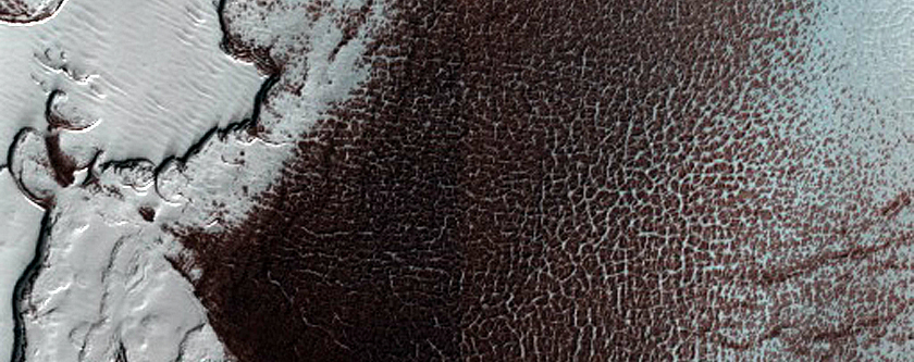 South Polar Residual Cap Intraseasonal Change Monitoring