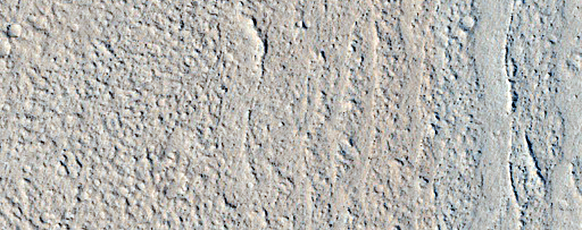 Terrain Sample