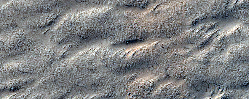 Terrain Sample