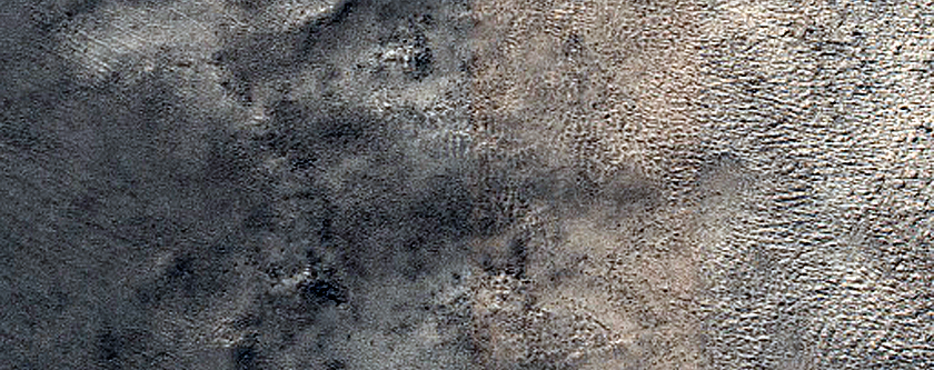 Terrain Sample