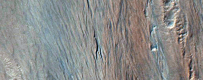 Gullies on Southern Wall of Ross Crater