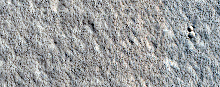 Amazonis Planitia Terrain Sample