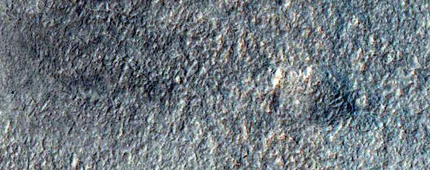 Gullies in Southern Mid-Latitude Crater