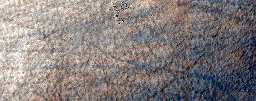 Terrain Sample