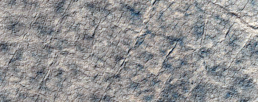 Terrain Sample