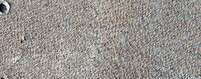 Syria Planum and Claritas Fossae Dust-Raising Event Monitoring Site