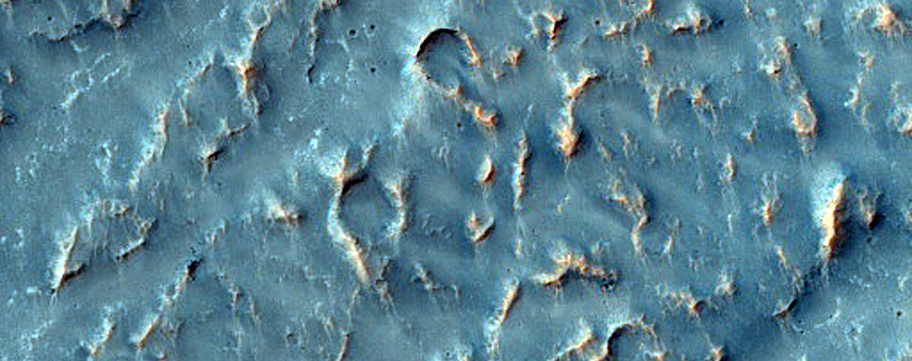 Terrain Sample