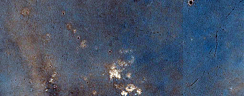 Monitoring Dust Devil Tracks