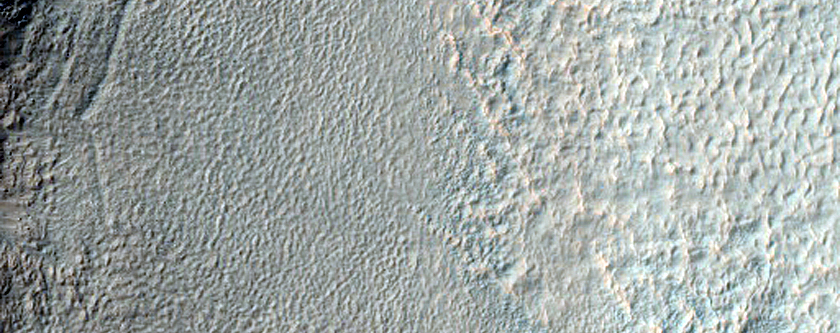 Terrain Sample