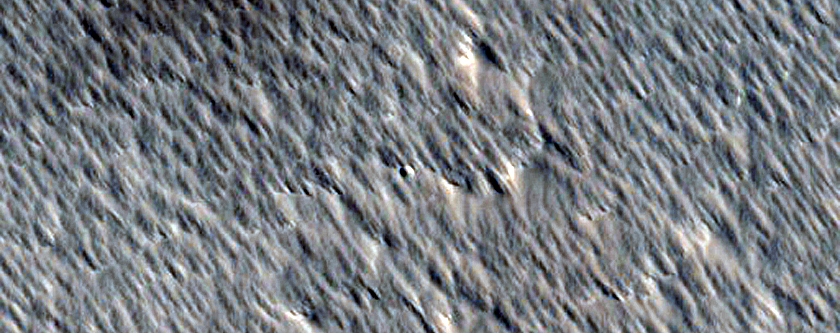 Candidate Recent Impact Site