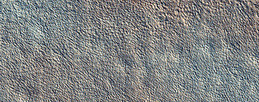 Terrain Sample