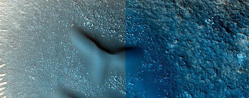 Dune Monitoring