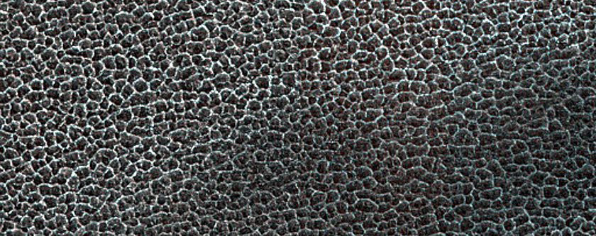 Terrain Sample