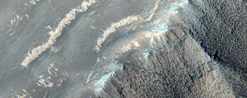 Terrain Sample