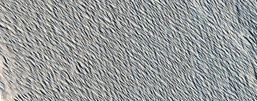 Flow Margin Contact