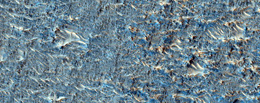 Terrain Sample with Flow Edge