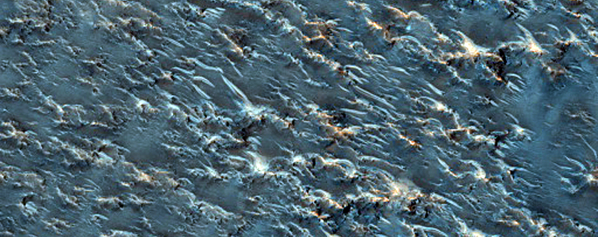 Contact near Oenotria Plana