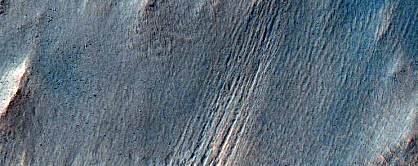 Gully Monitoring