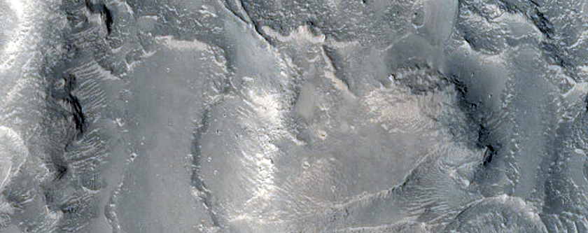 Network of Ridges in Nepenthes Mensae
