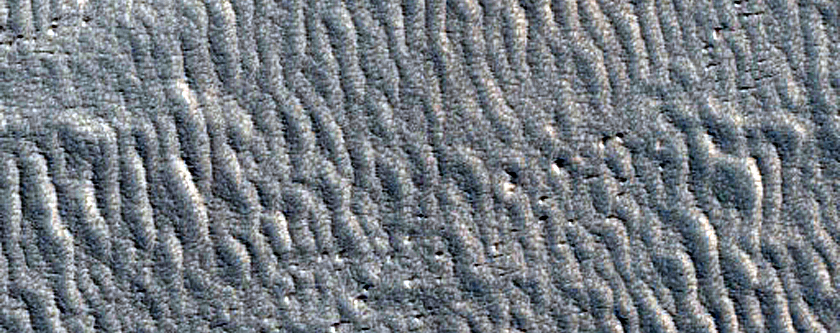 Protonilus Mensae Surfaces