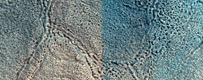 Concentric Crater Fill in Southeast Acidalia Planitia