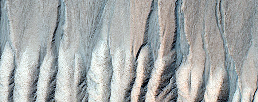 Gully Monitoring