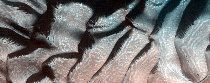 Dune Monitoring in Crater