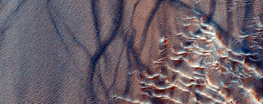 Argyre Planitia
