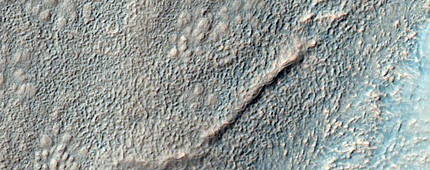 Gully Monitoring