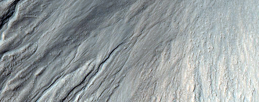 Gully Monitoring