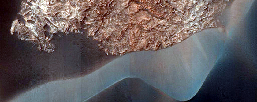 Dune Monitoring