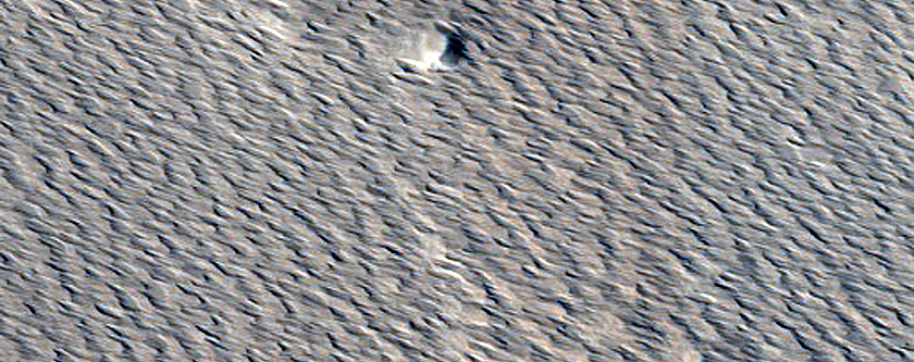 Monitoring New Impact Site